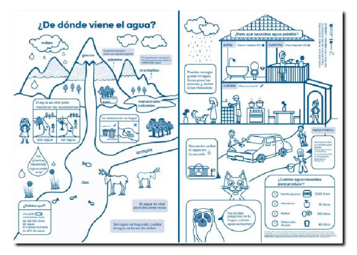 Infografía didáctica